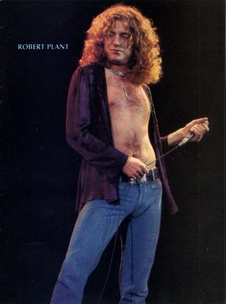 robert plant posters 0026