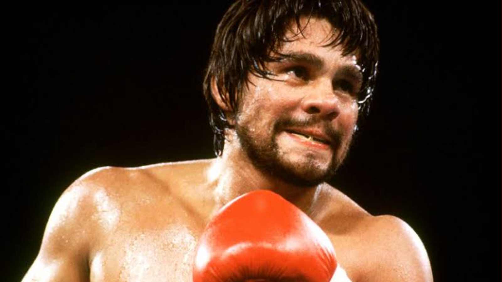 roberto duran wallpaper 0028
