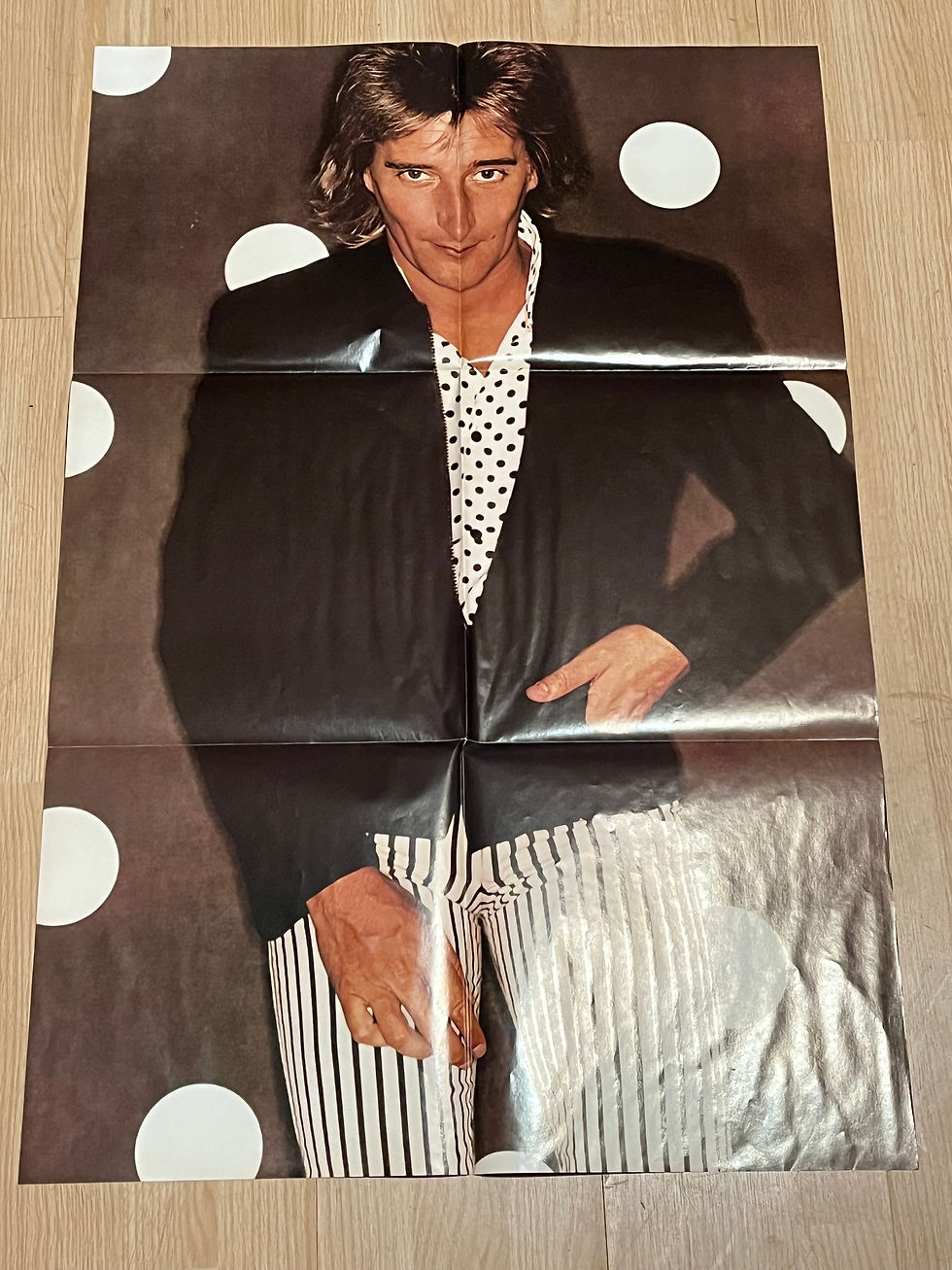 rod stewart poster 0026