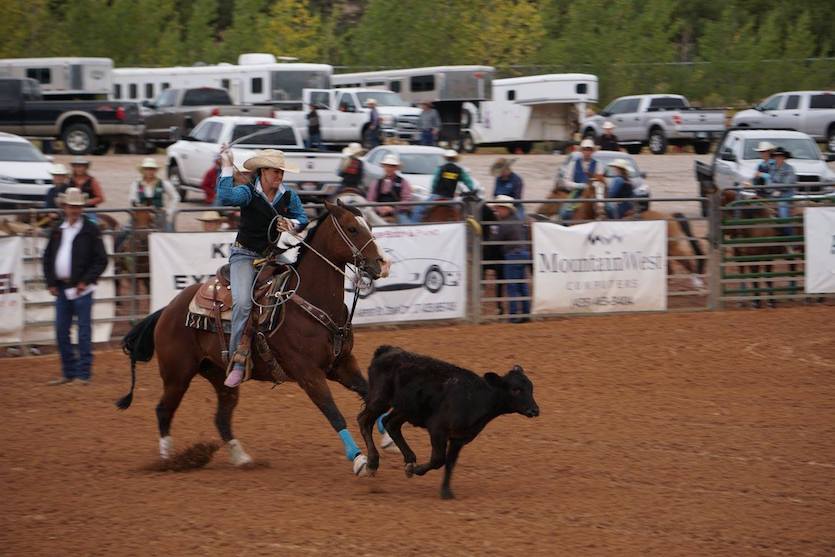 rodeo competitions