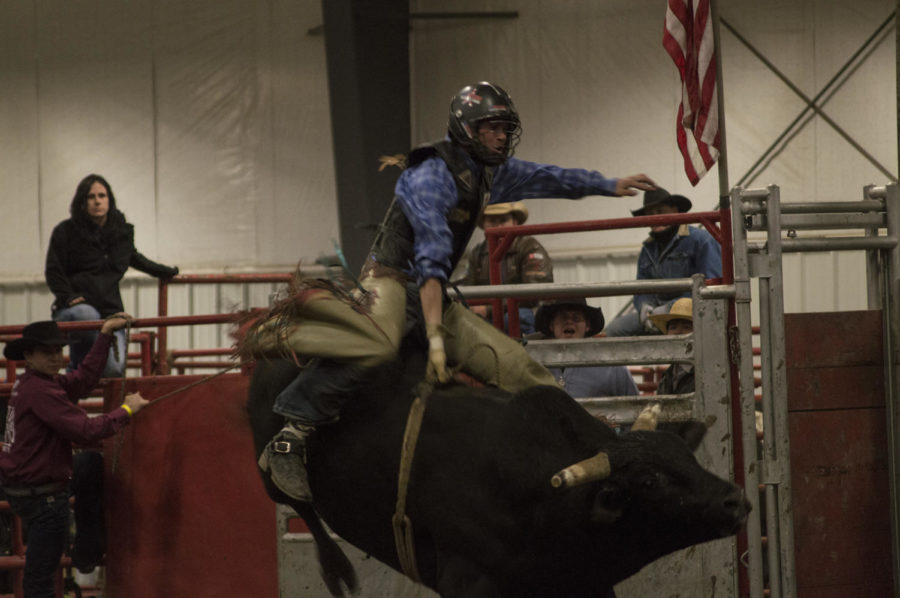 rodeo fan experience.