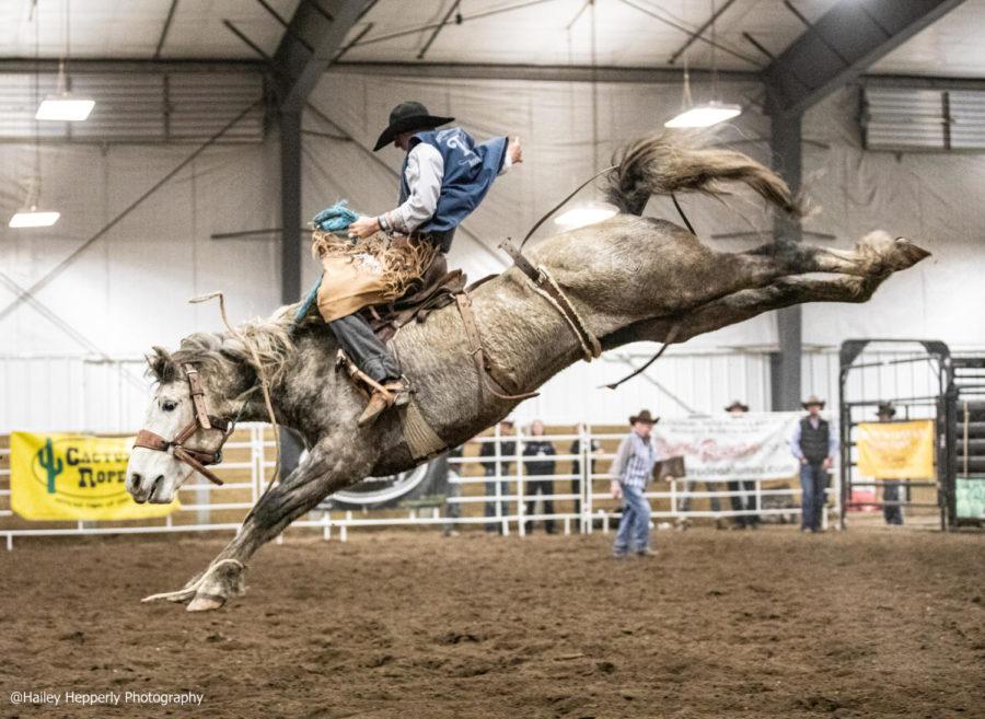 rodeo highlights