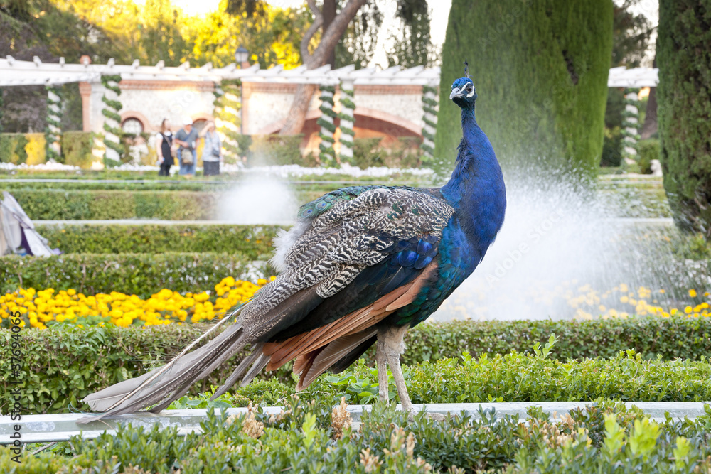 rodriguez park 0027