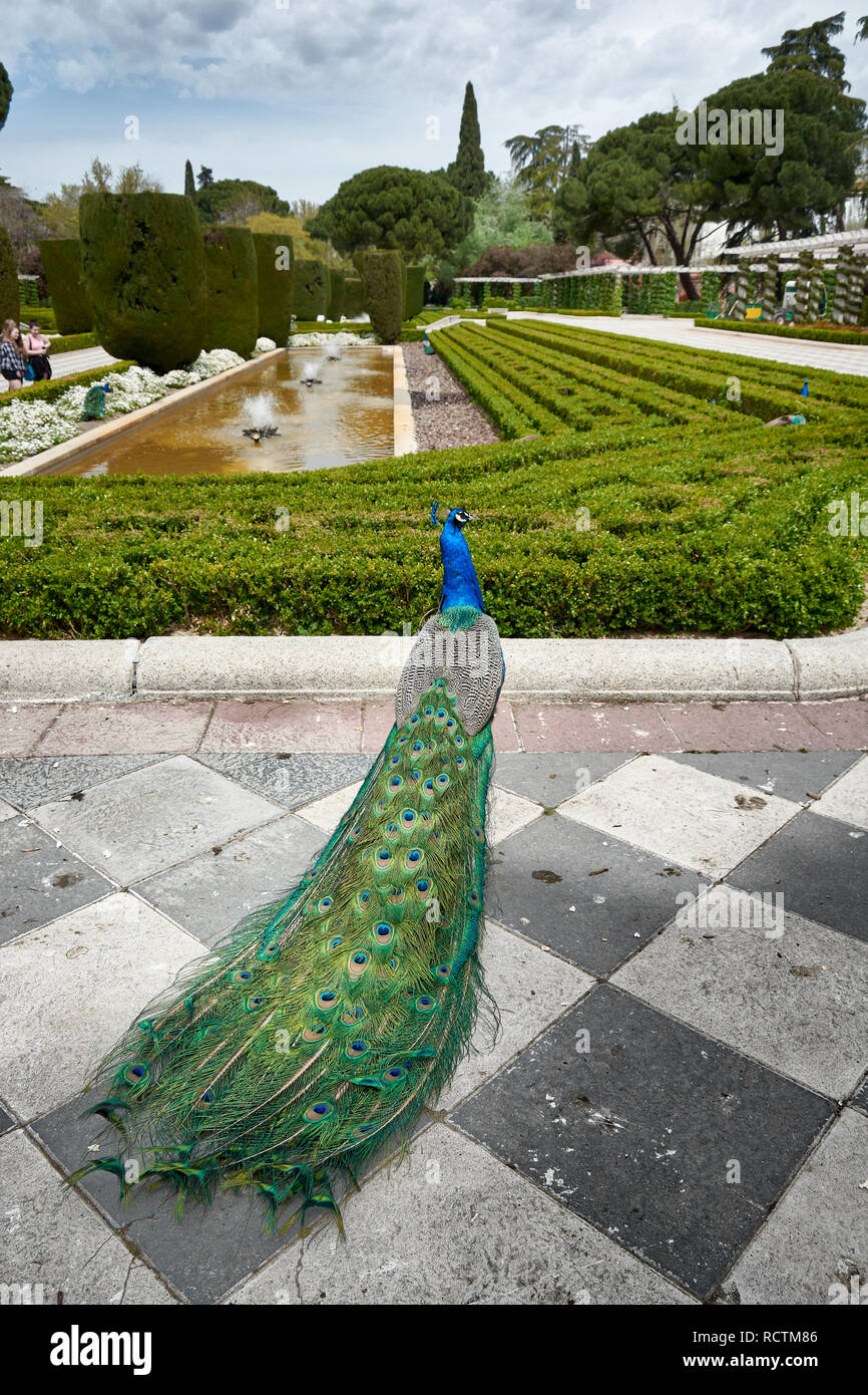 rodriguez park 0042