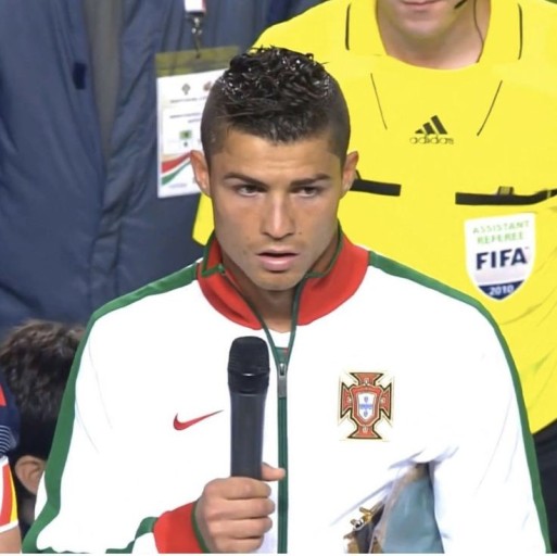 ronaldo 2010 world cup