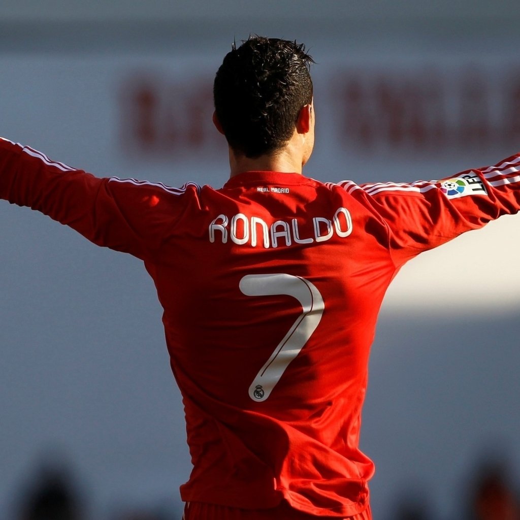 Ronaldo fan art