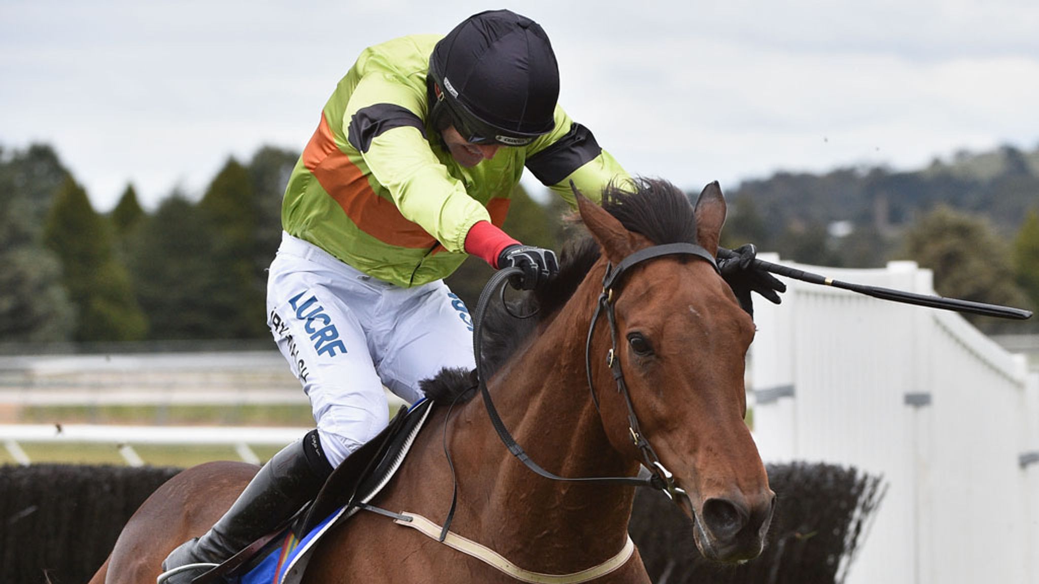 ruby walsh blog 0011