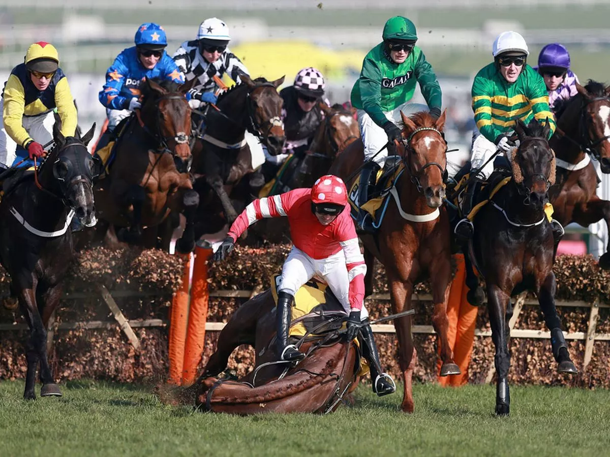 ruby walsh blog 0012