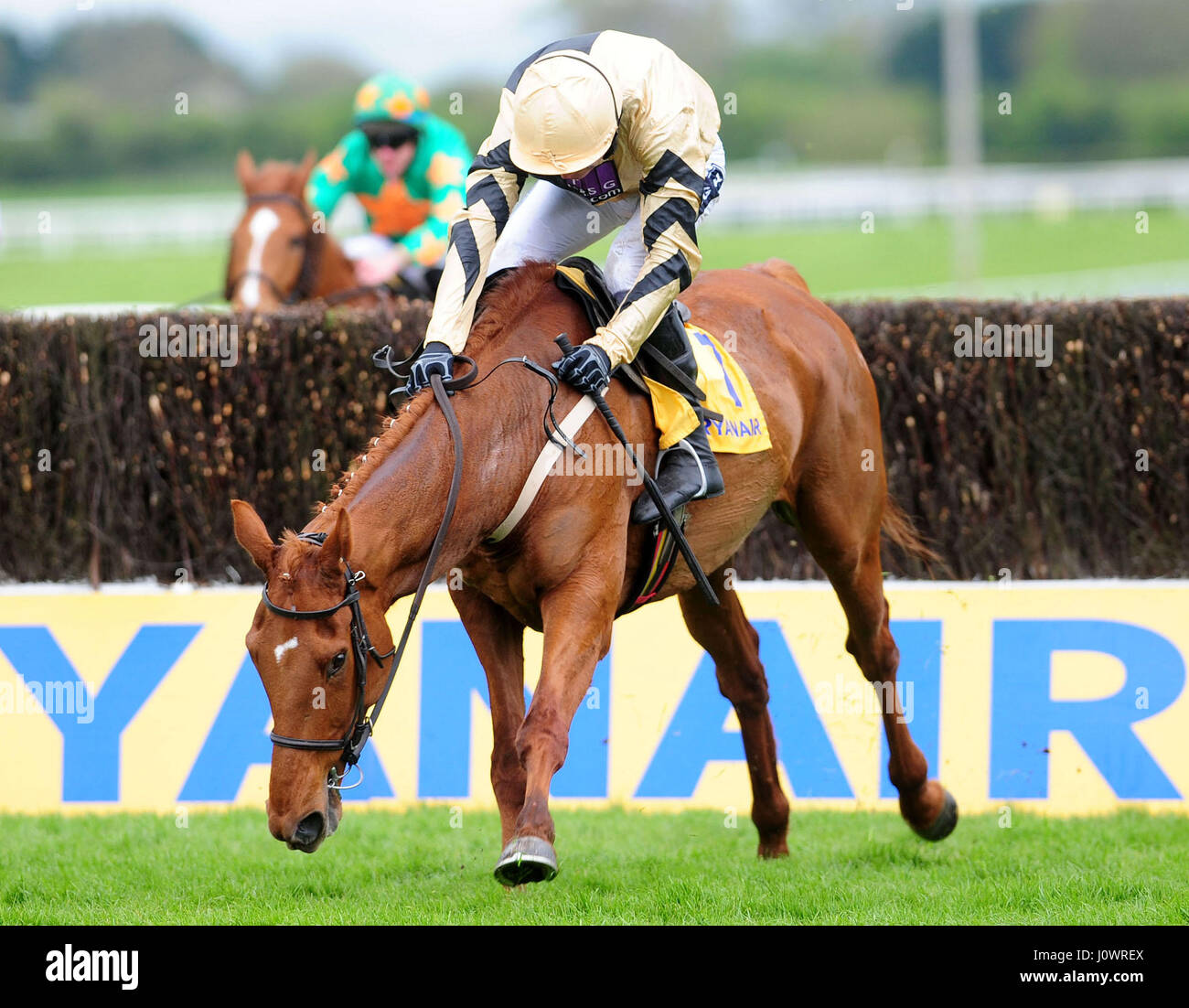 ruby walsh blog 0021