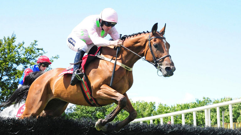 ruby walsh blog 0024