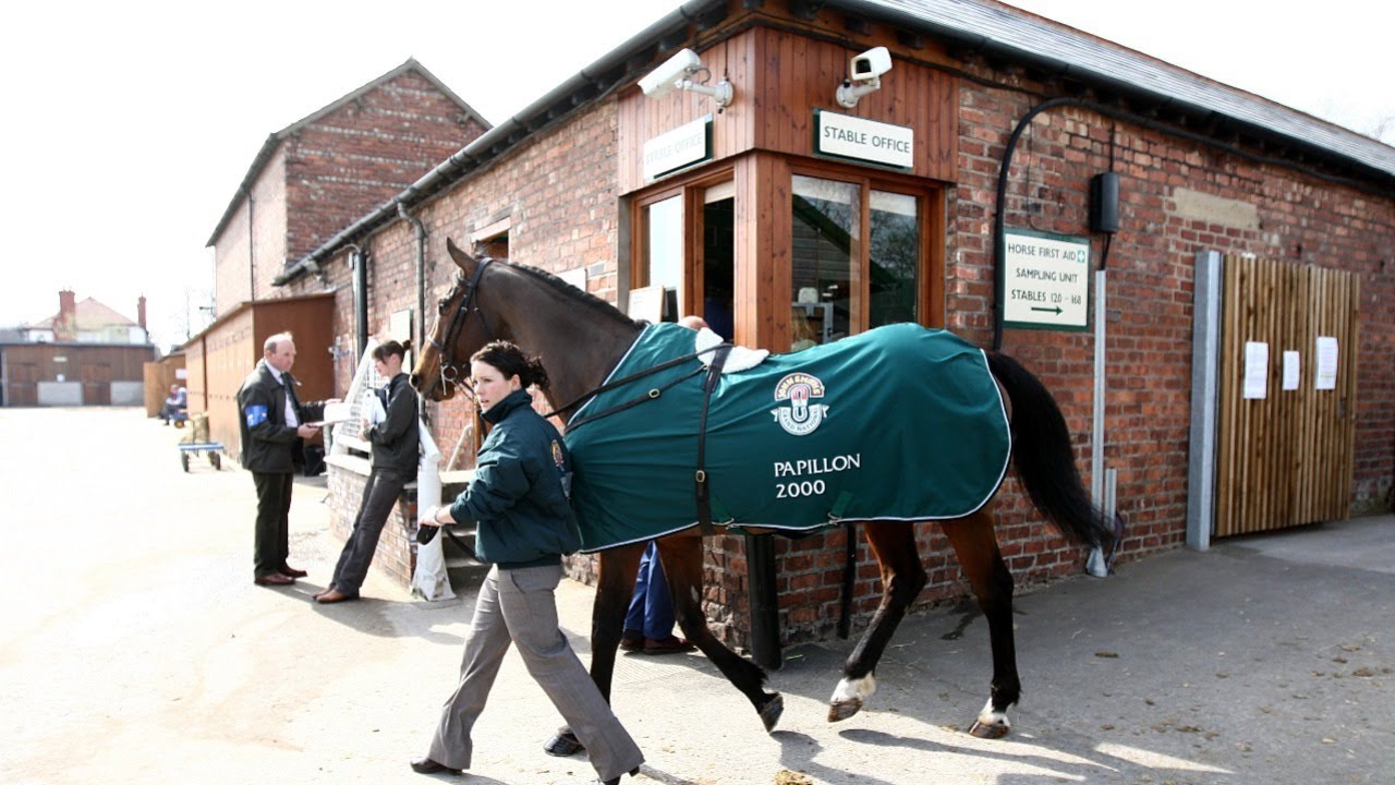 ruby walsh blog 0032