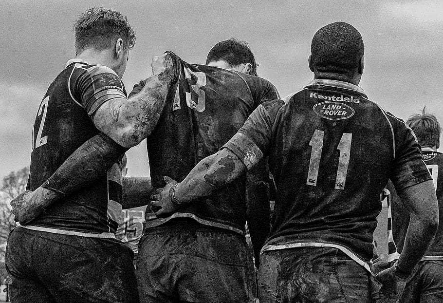 rugby team wallpapers