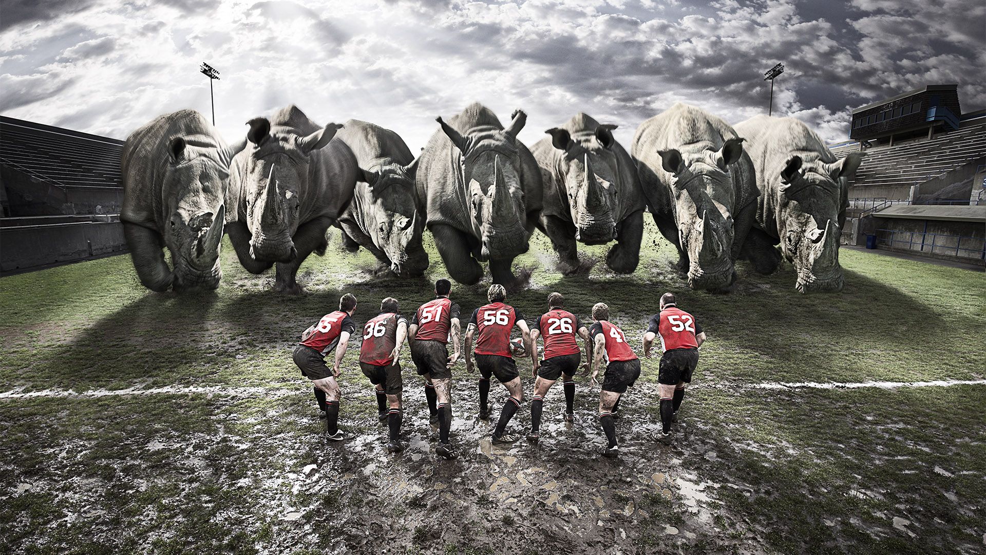 rugby wallpaper 0017