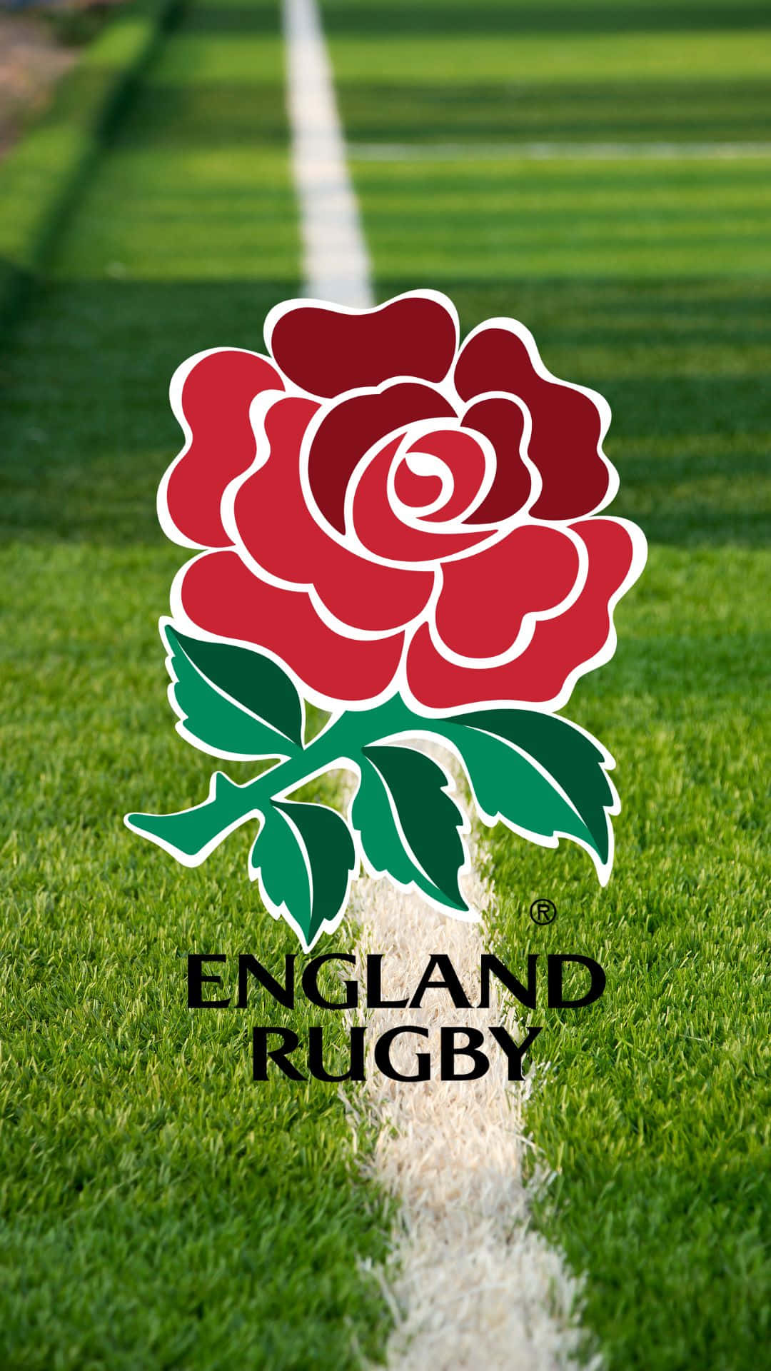 rugby wallpaper 0045