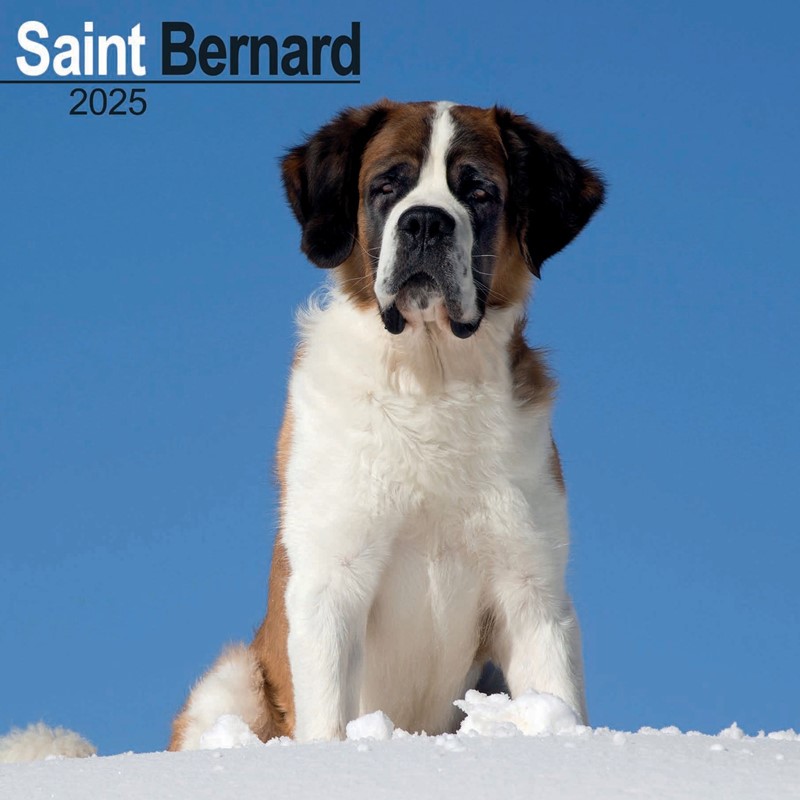 saints pfp 0041