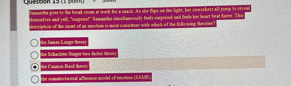 Samantha Schachter inspirational stories