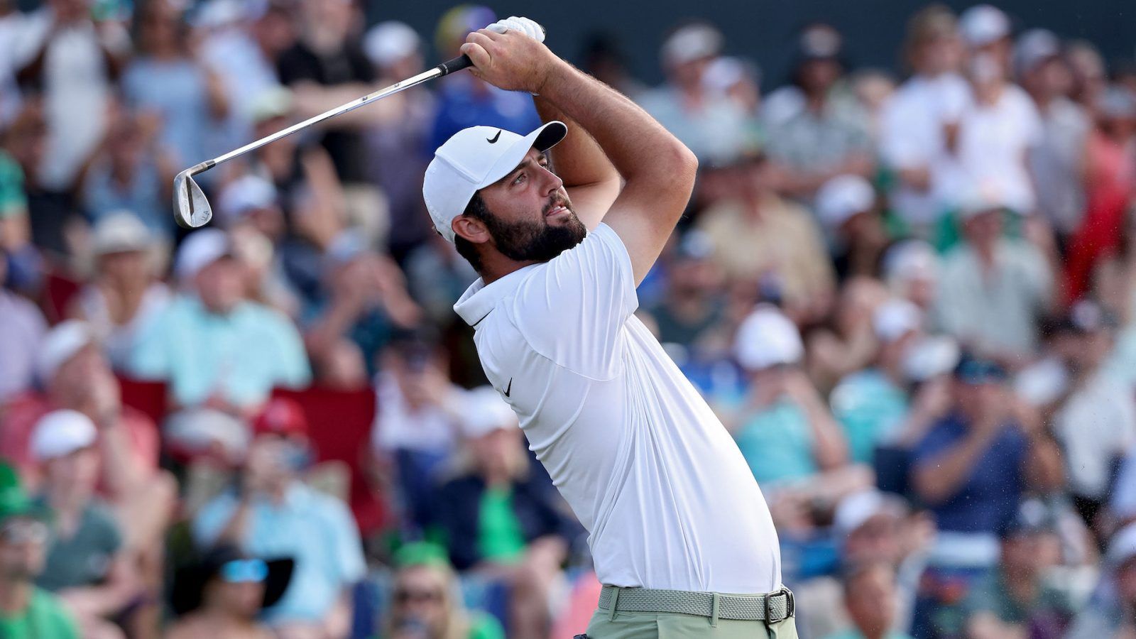 scottie scheffler tpc sawgrass 0012