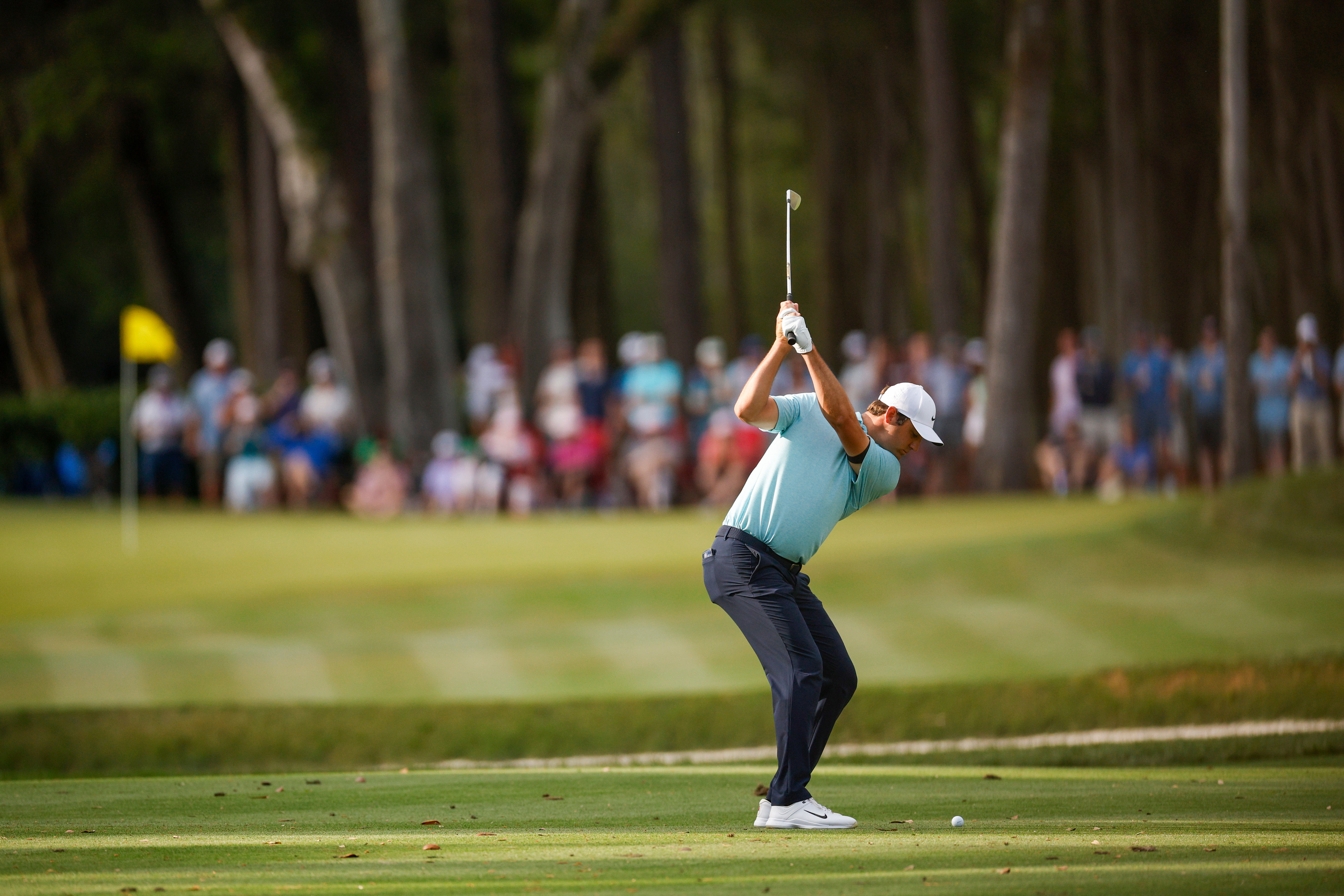 scottie scheffler tpc sawgrass 0026