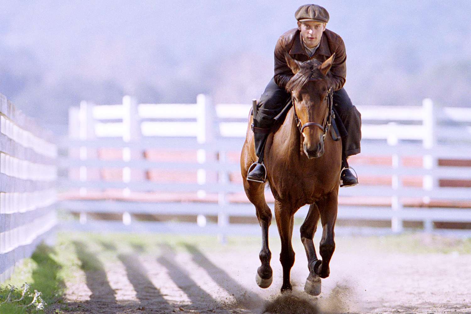 seabiscuit horse jockey 0016