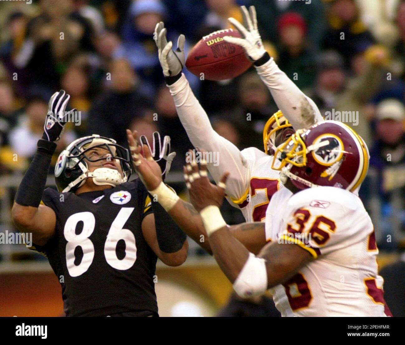 sean taylor 36 0019