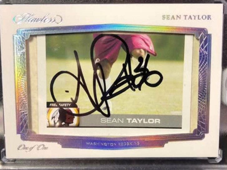 sean taylor 36 0033