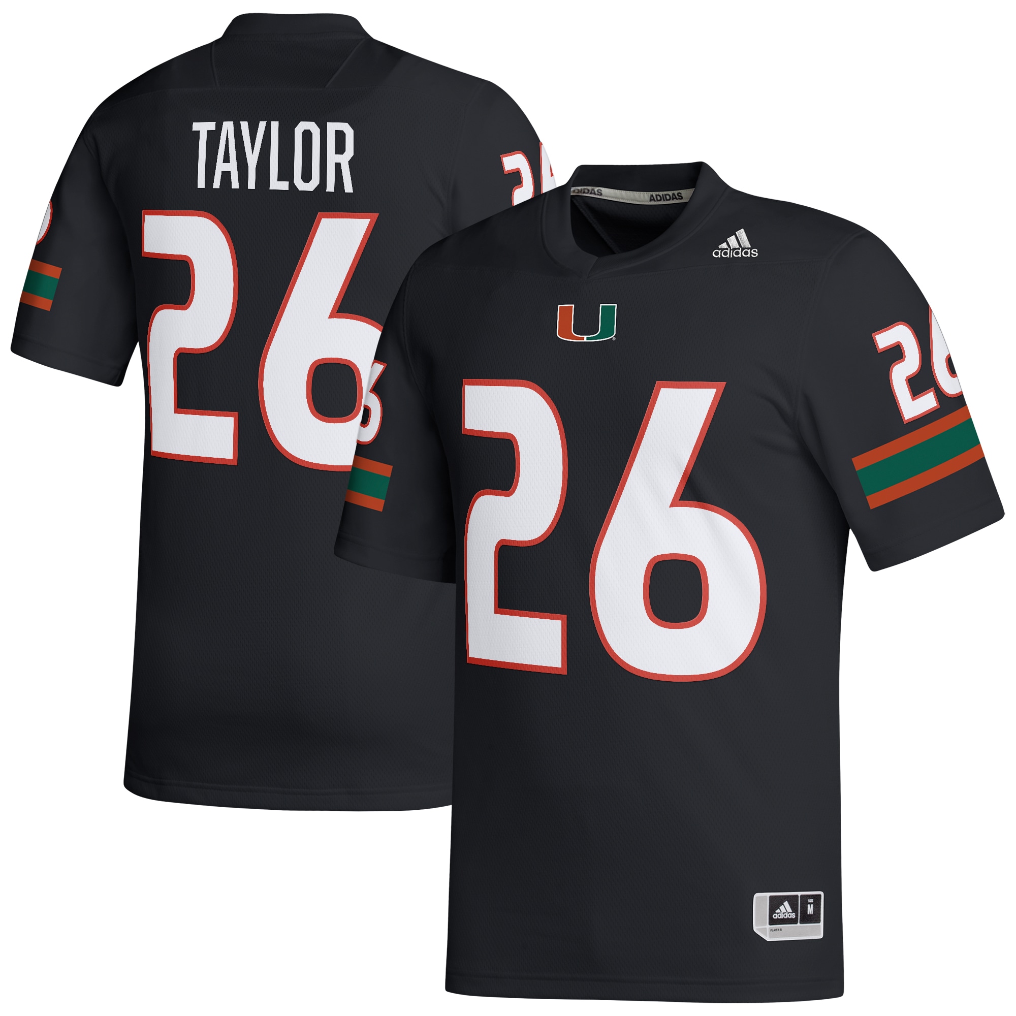 sean taylor pictures 0048