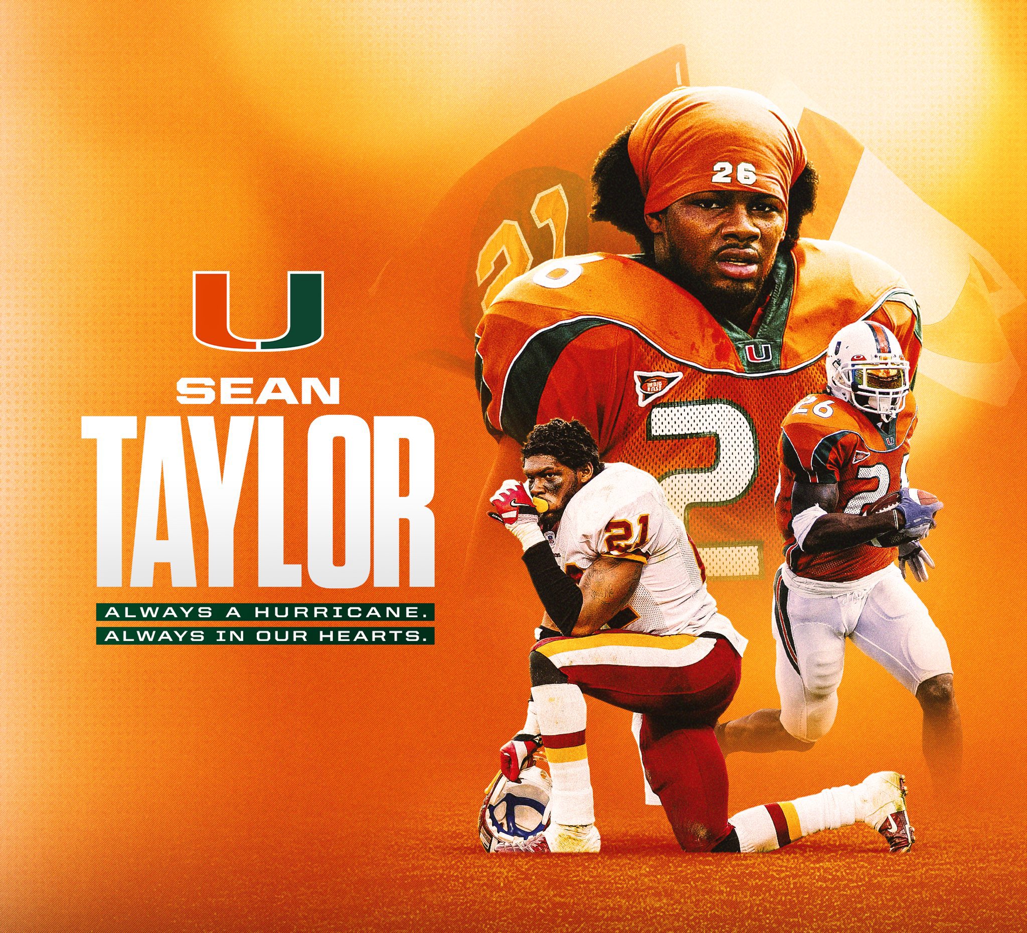 sean taylor wallpaper 0009