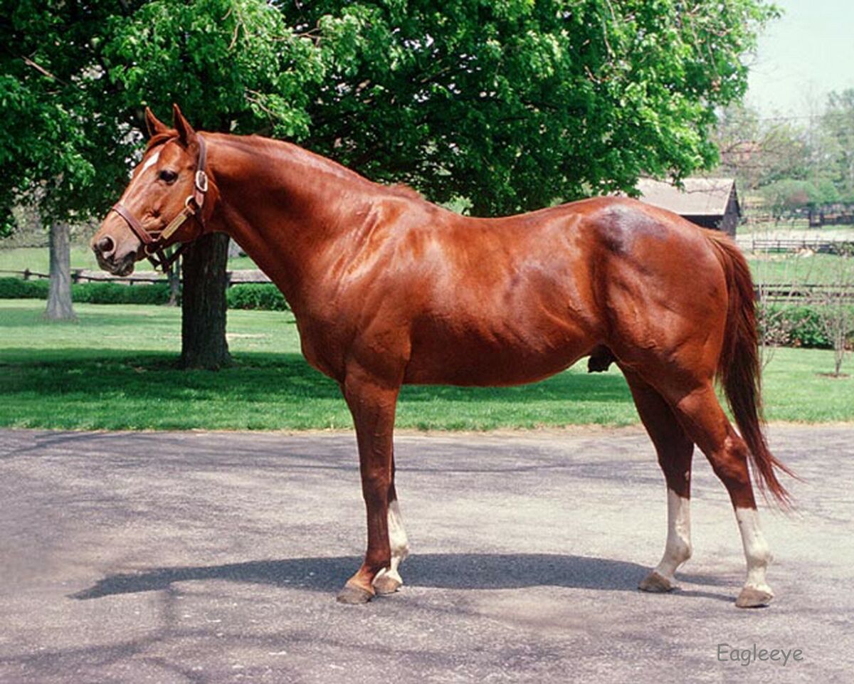 secretariat wins triple crown