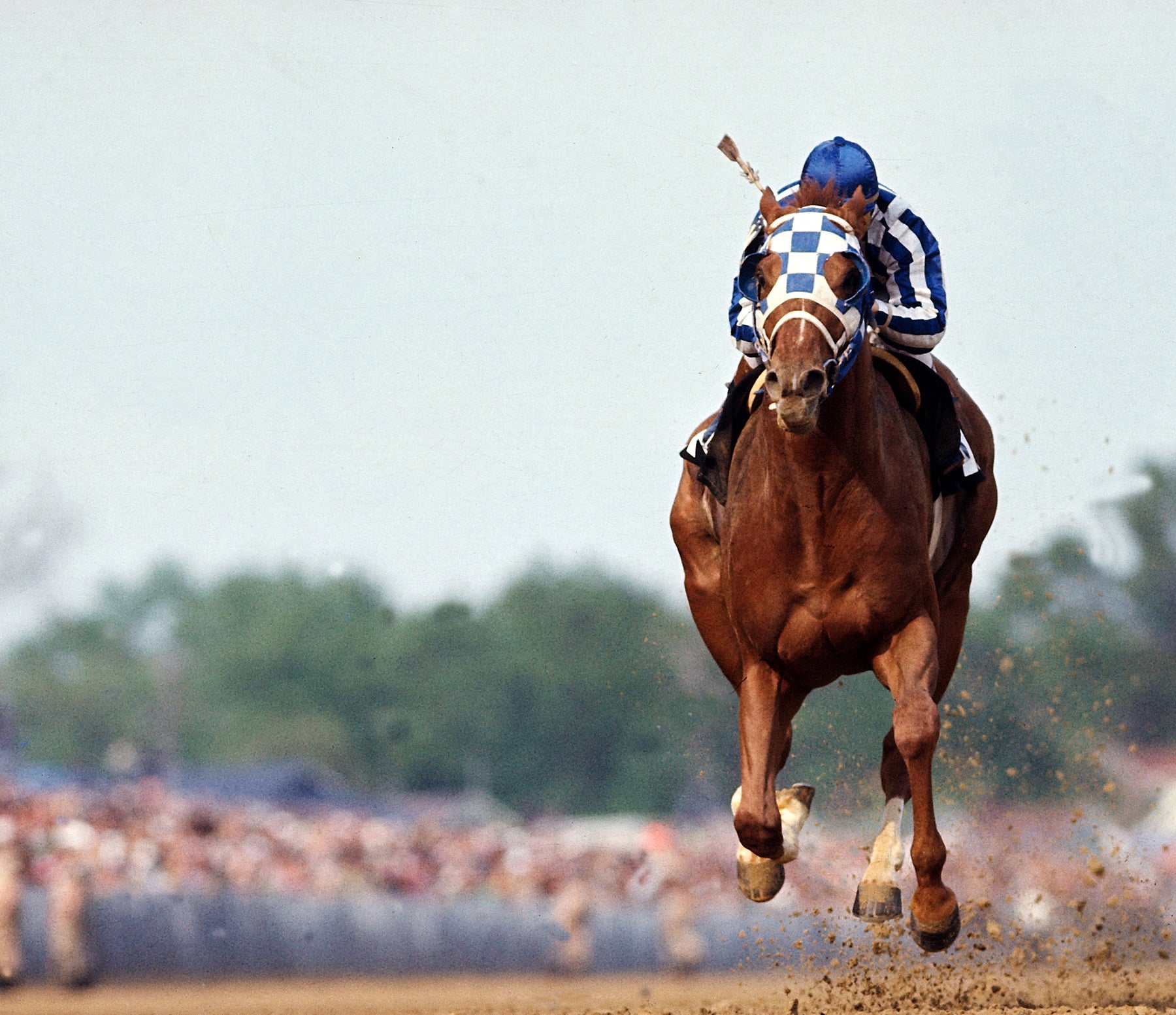 secretariat wins triple crown