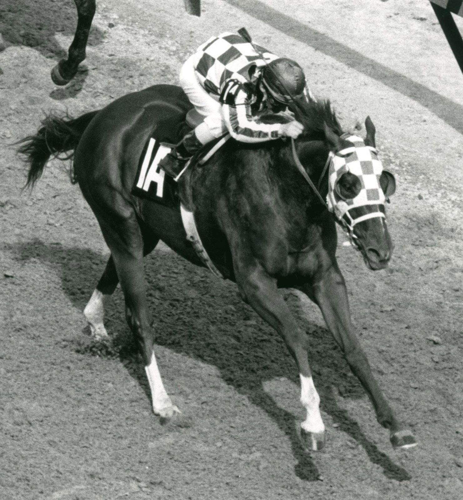 secretariat wins 0018