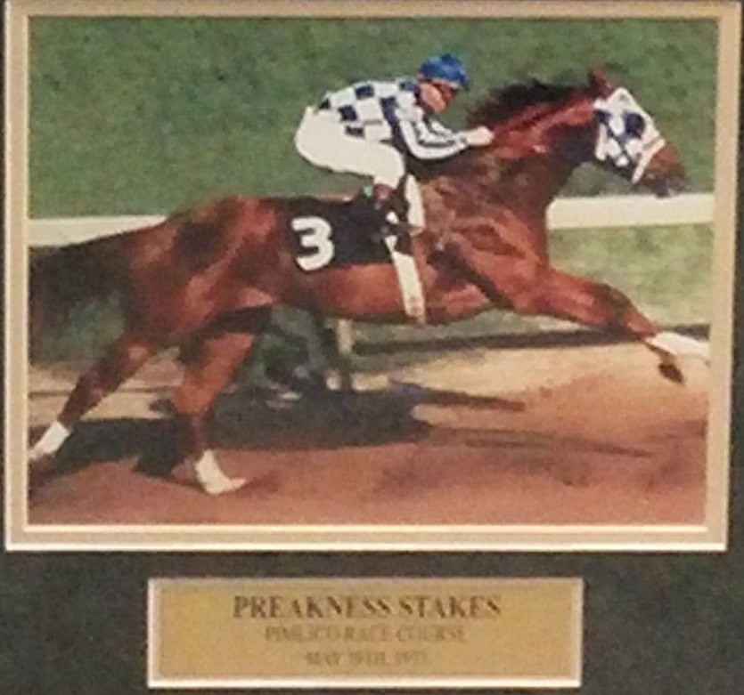 secretariat wins 0045