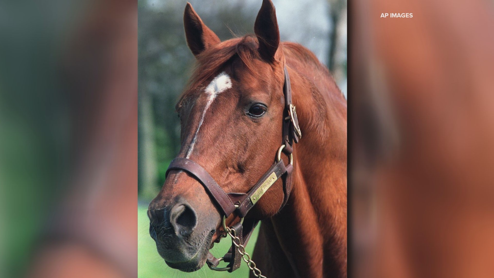 secretariat wins 0046