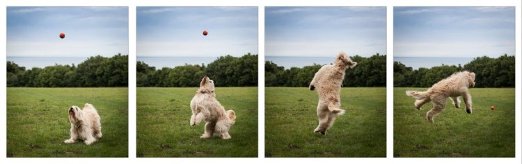 sequential photos