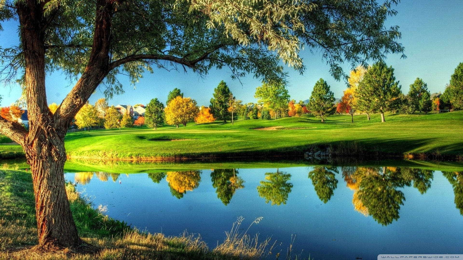 serene golf vistas