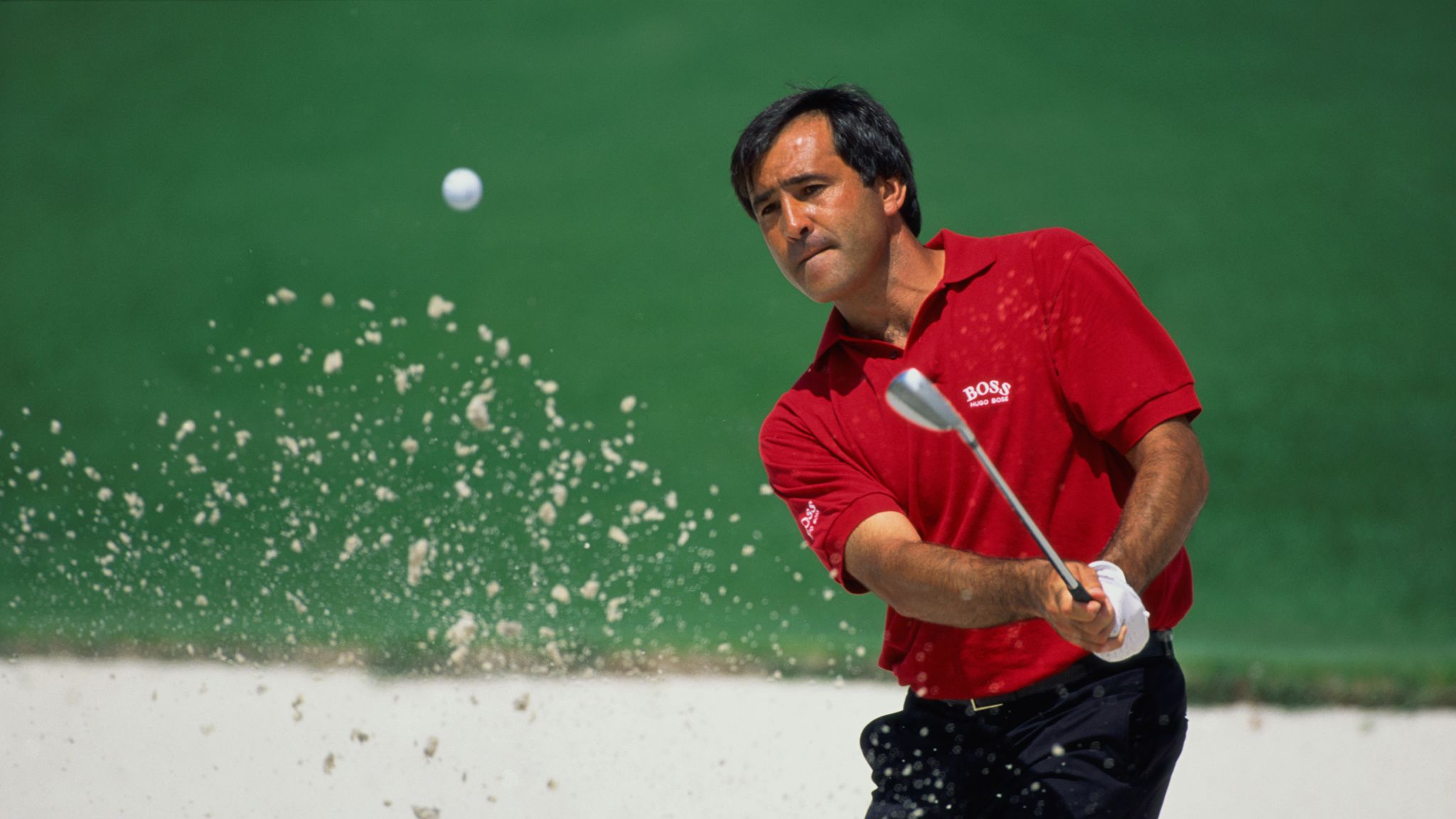seve.