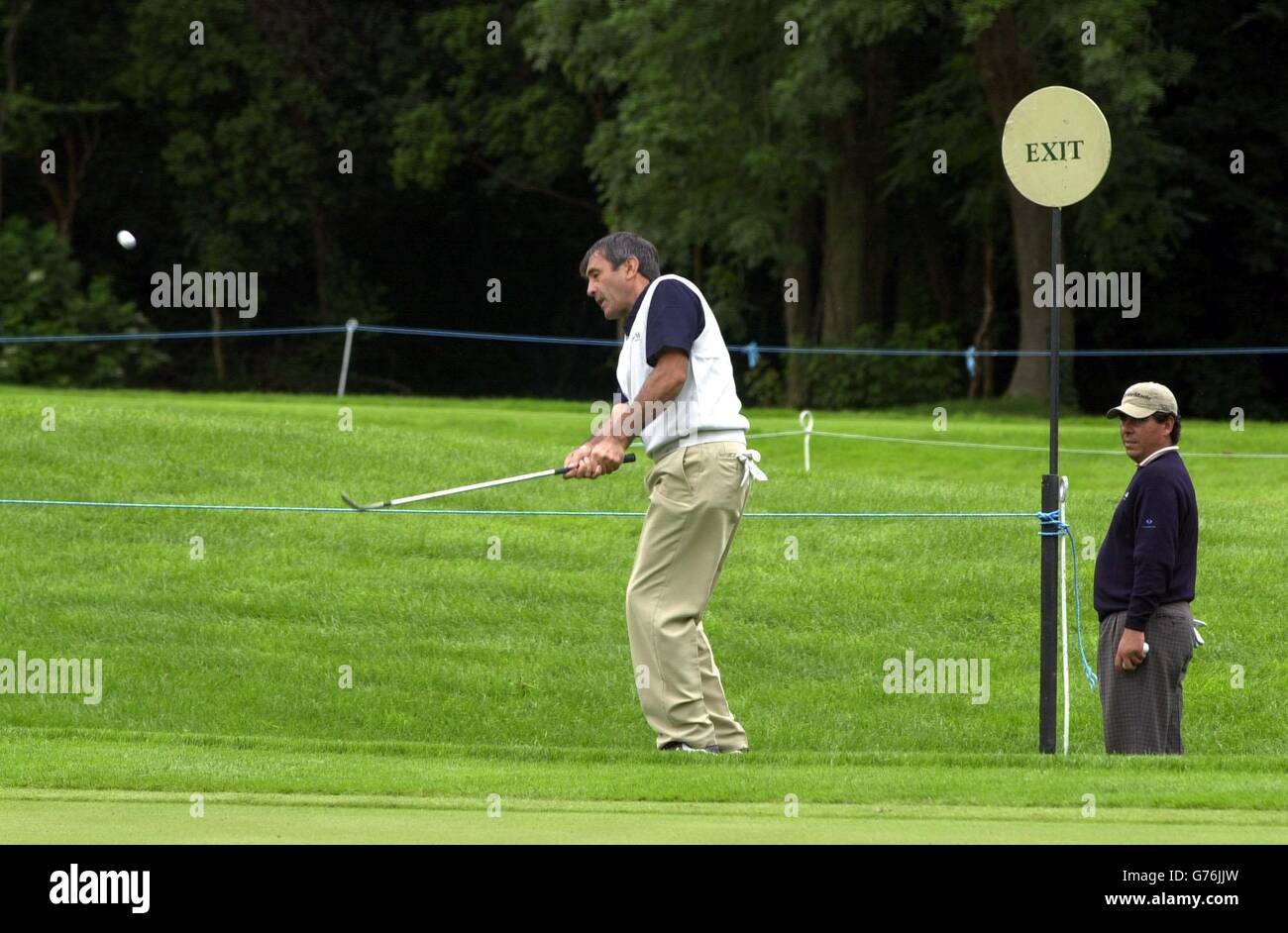 seve.