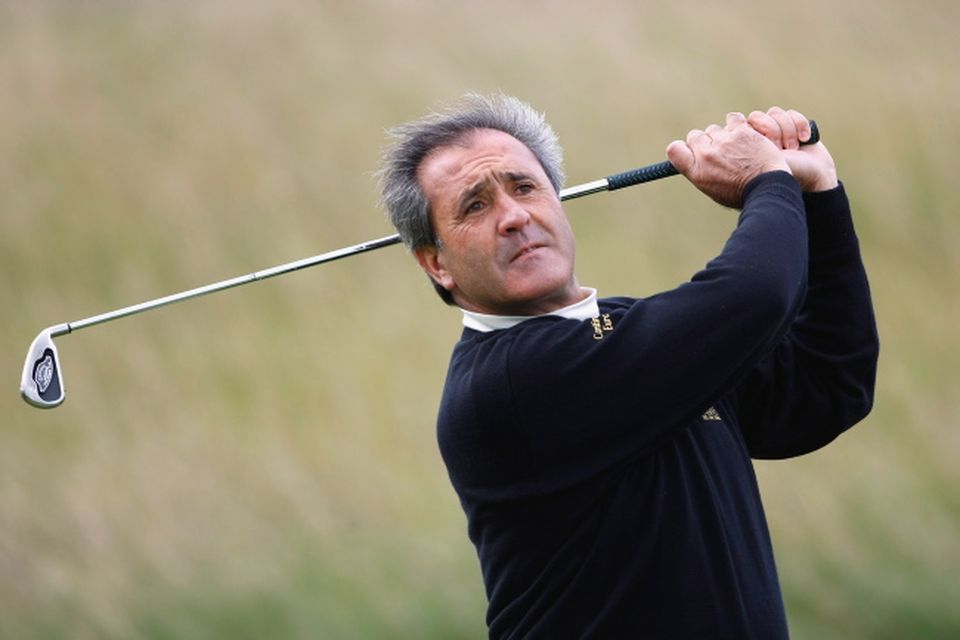 seve.