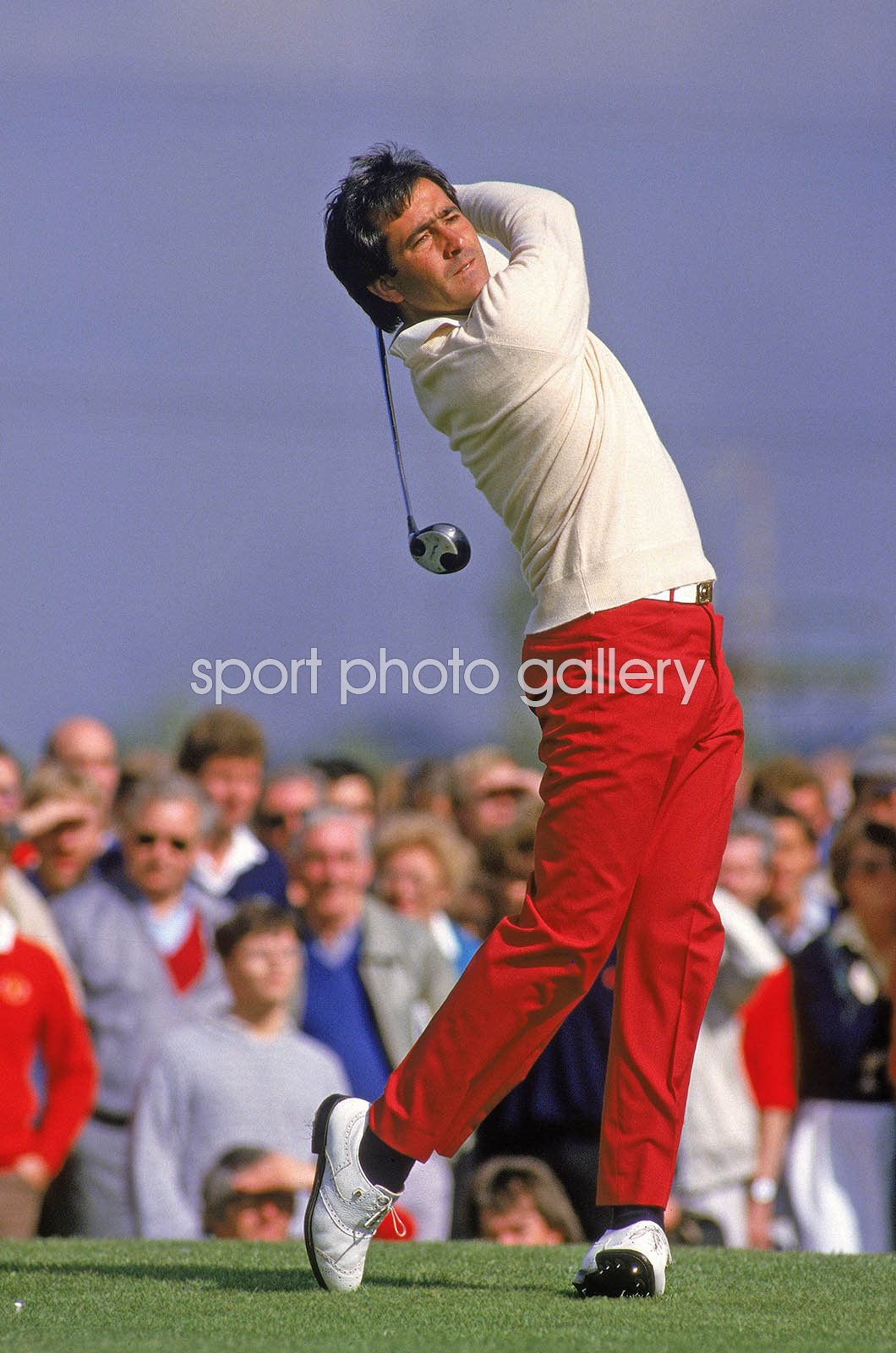 seve. 0031