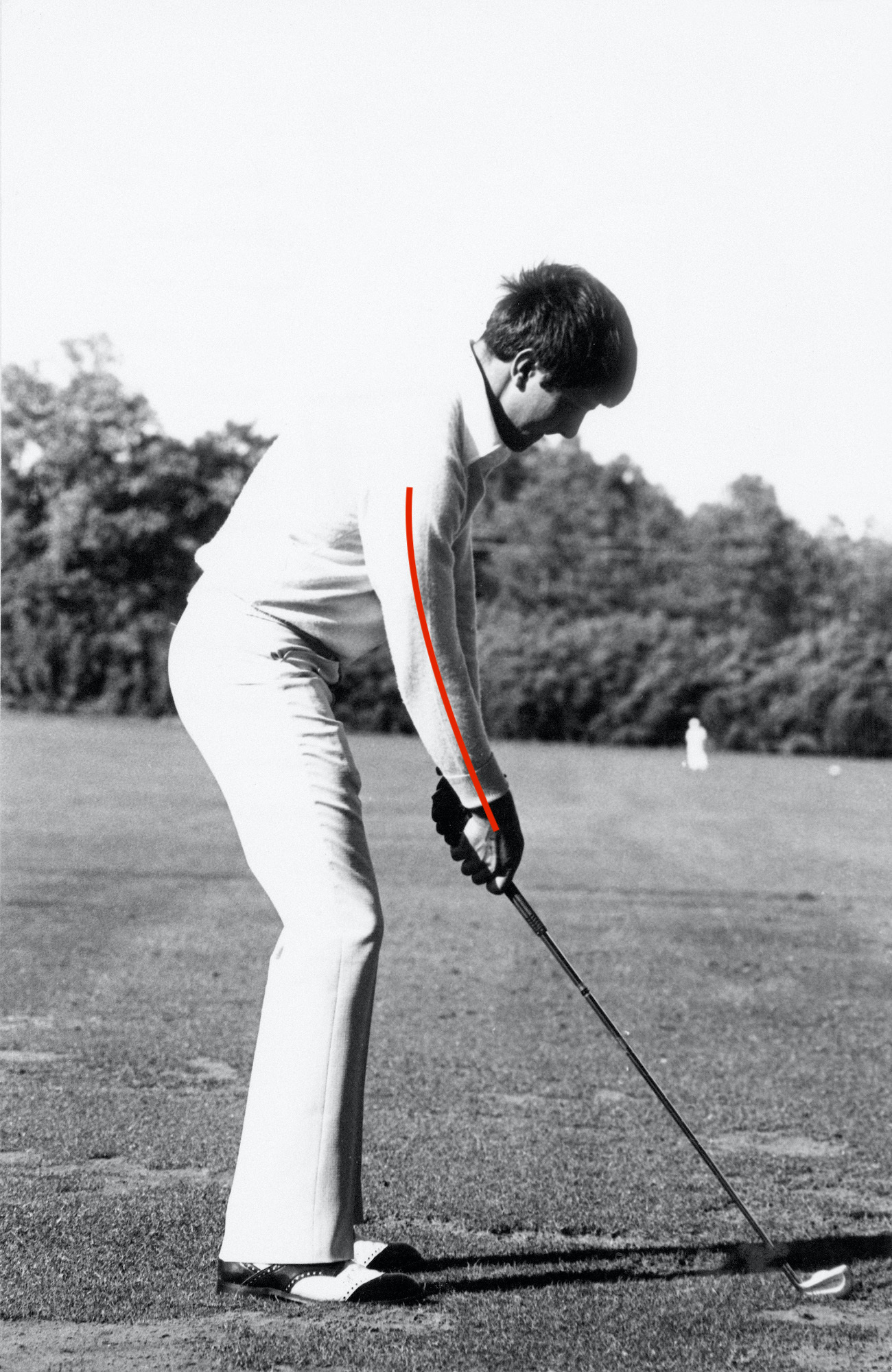 seve.