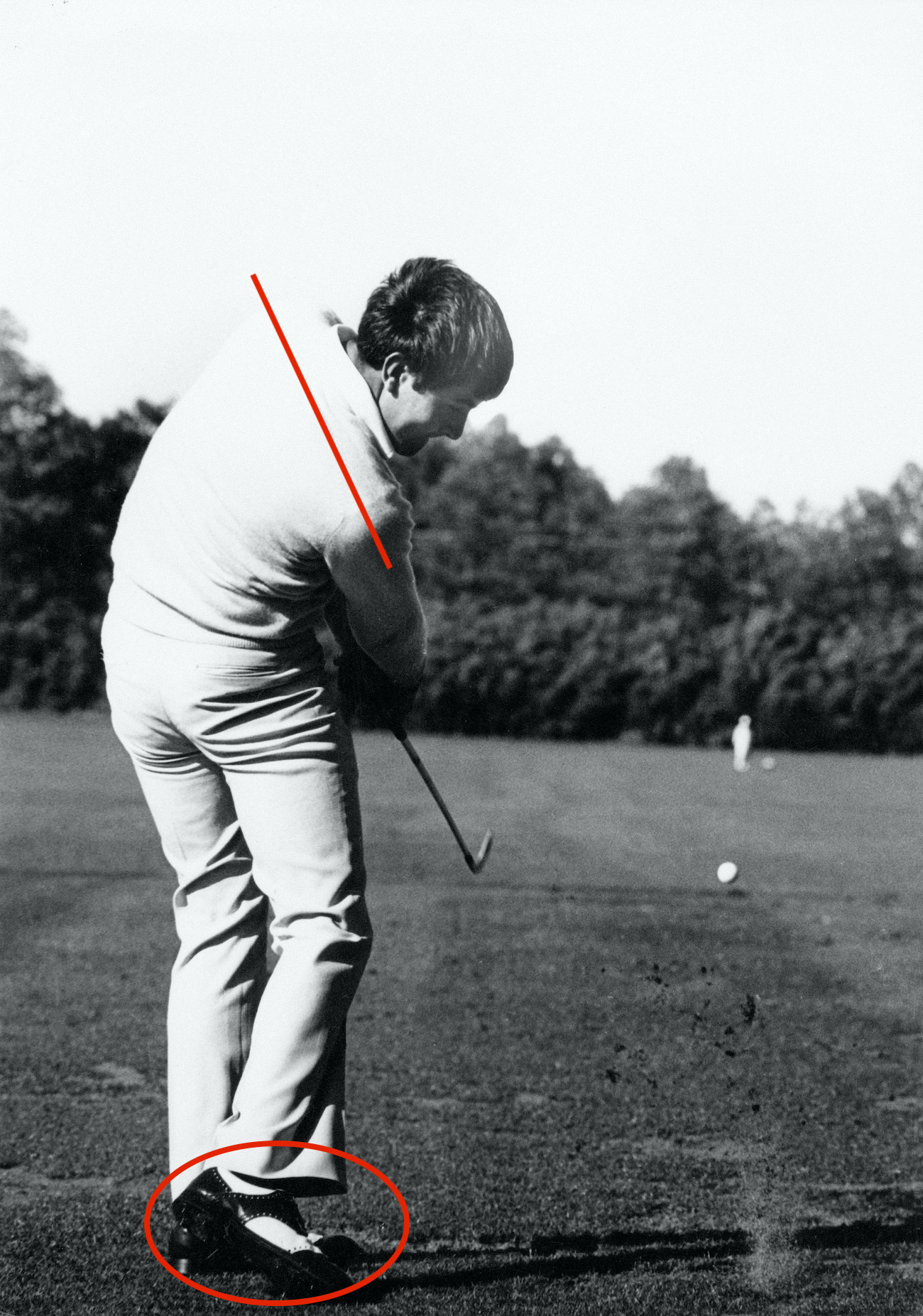 seve.