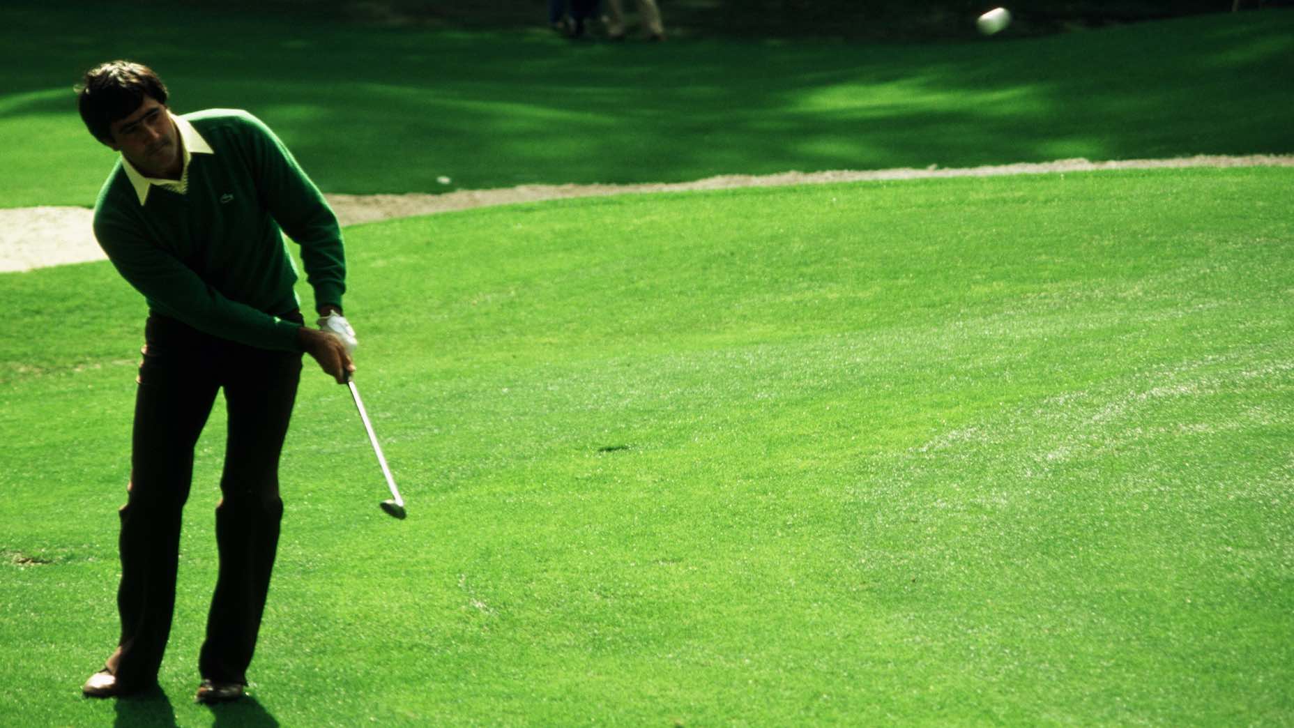 seve.