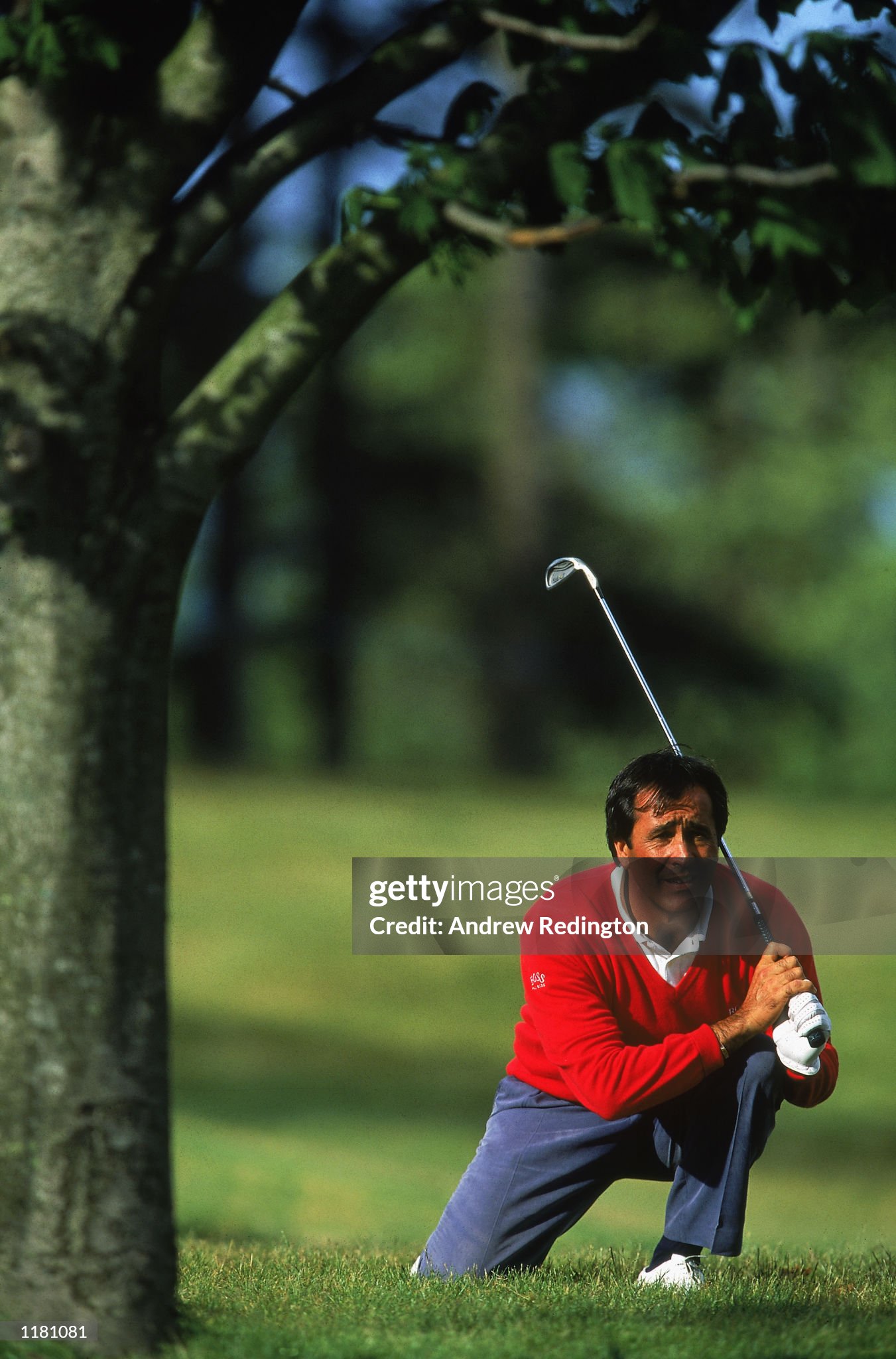 seve. 0018