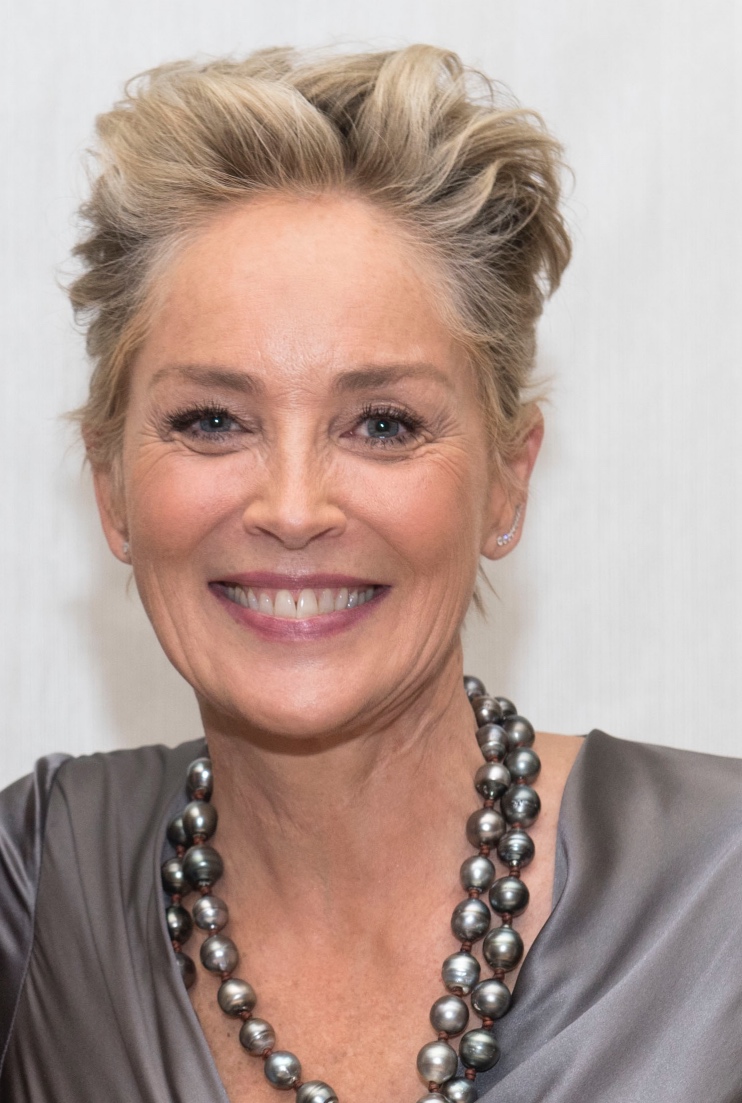 Sharon Stone style evolution