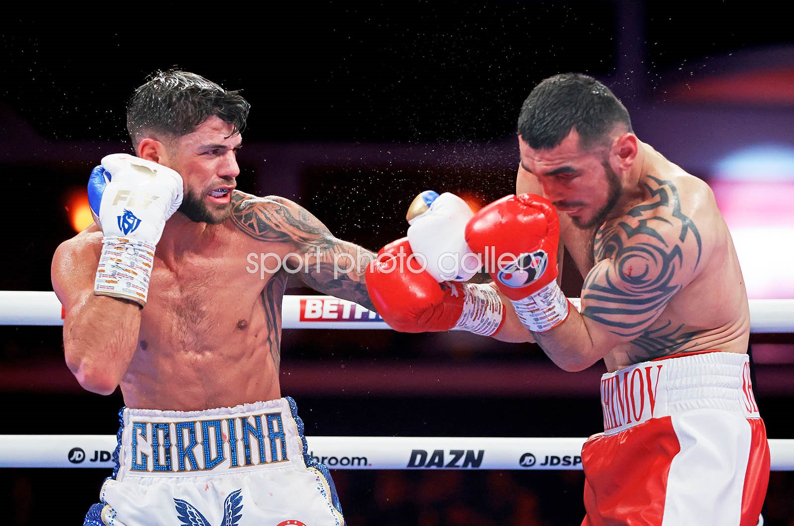 shavkatdzhon rakhimov vs joe cordina 0012