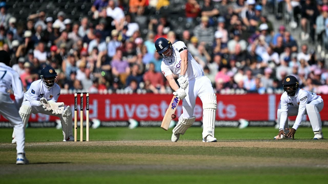 show me a picture of a cricket