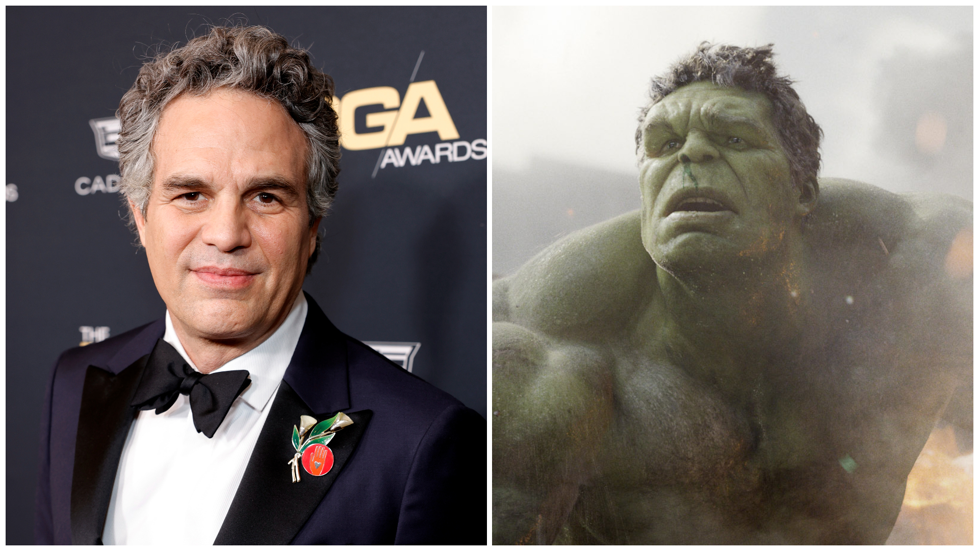 show me a picture of the hulk 0023