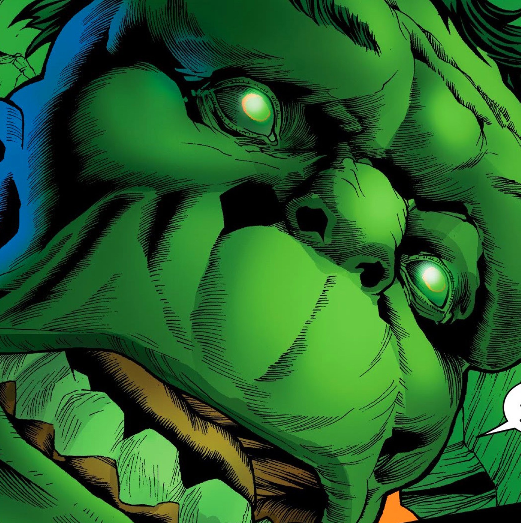 show me a picture of the hulk 0048