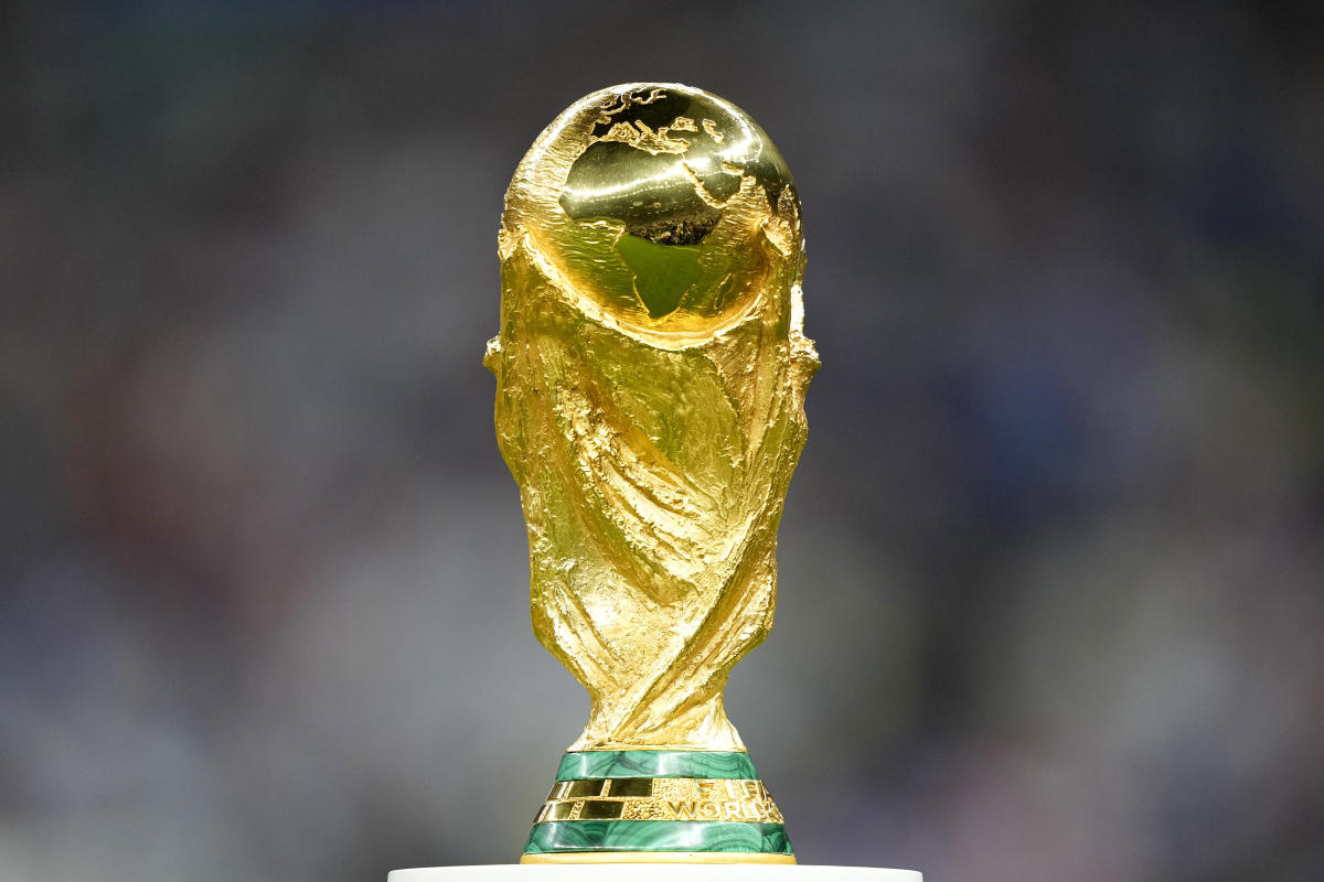 show me a picture of the world cup