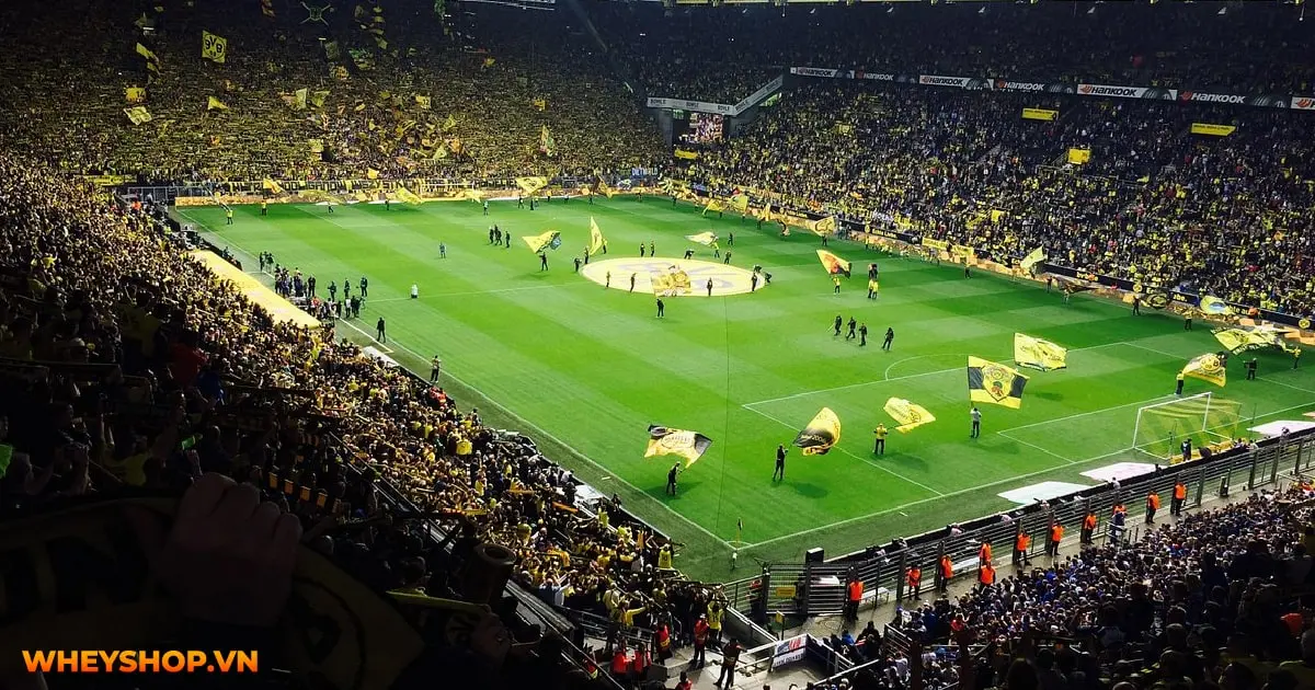 Signal Iduna Park architecture