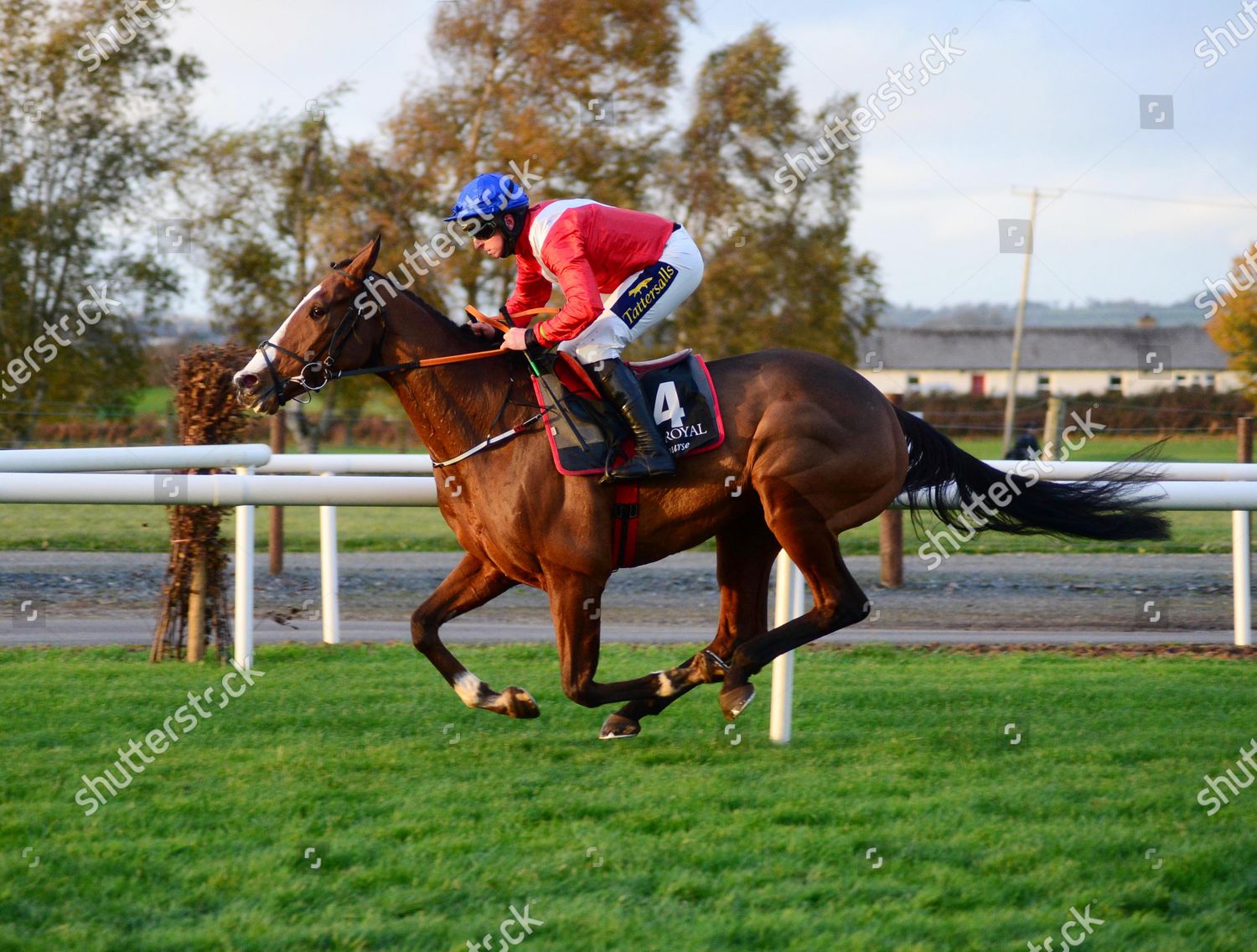 sir gerhard horse 0009